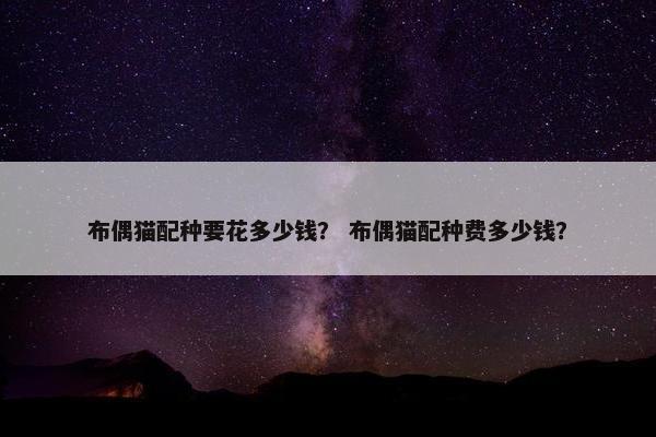 布偶猫配种要花多少钱？ 布偶猫配种费多少钱？