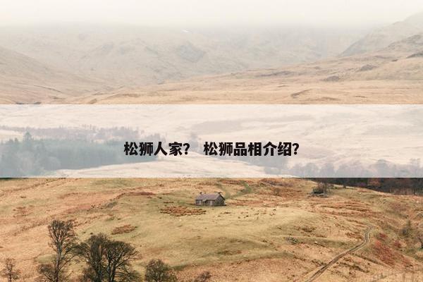 松狮人家？ 松狮品相介绍？