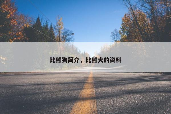 比熊狗简介，比熊犬的资料