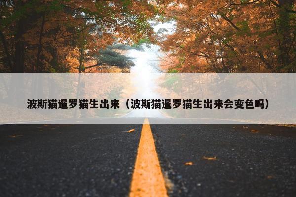 波斯猫暹罗猫生出来（波斯猫暹罗猫生出来会变色吗）