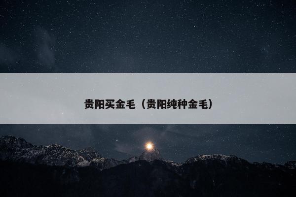 贵阳买金毛(贵阳纯种金毛)