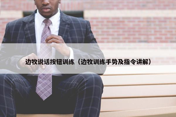 边牧说话按钮训练（边牧训练手势及指令讲解）