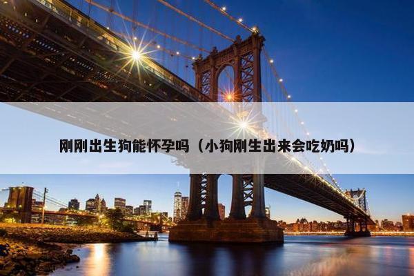 刚刚出生狗能怀孕吗（小狗刚生出来会吃奶吗）