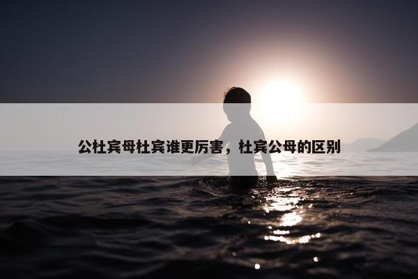 公杜宾母杜宾谁更厉害，杜宾公母的区别