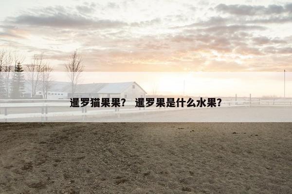 暹罗猫果果？ 暹罗果是什么水果？