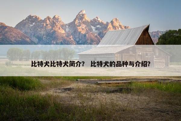 比特犬比特犬简介？ 比特犬的品种与介绍？