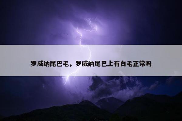 罗威纳尾巴毛，罗威纳尾巴上有白毛正常吗