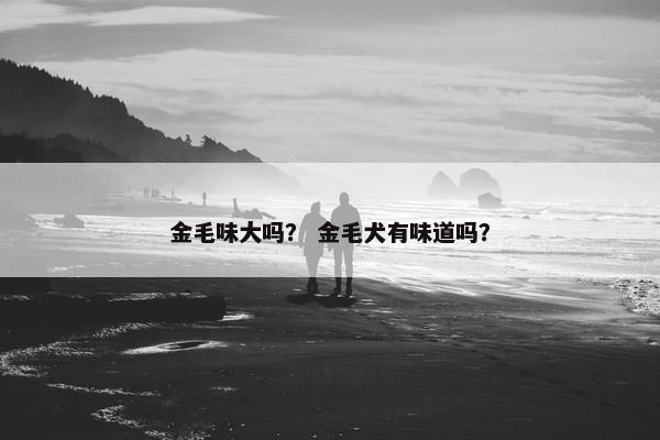 金毛味大吗？ 金毛犬有味道吗？