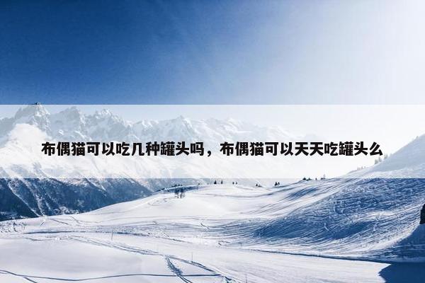 布偶猫可以吃几种罐头吗，布偶猫可以天天吃罐头么