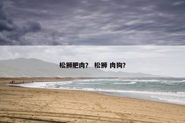 松狮 第14页