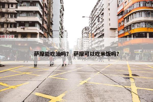 萨摩能吃油吗？ 萨摩可以吃米饭吗？