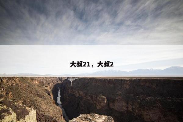大叔21,大叔2