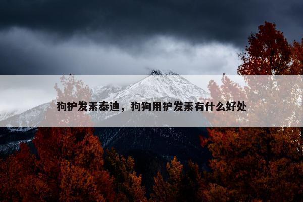 狗护发素泰迪，狗狗用护发素有什么好处