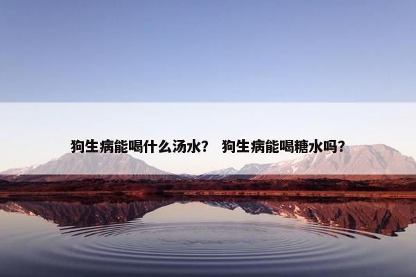 狗生病能喝什么汤水？ 狗生病能喝糖水吗？