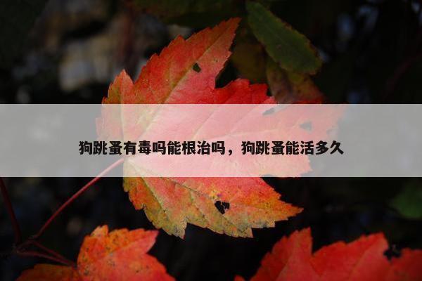 狗跳蚤有毒吗能根治吗，狗跳蚤能活多久