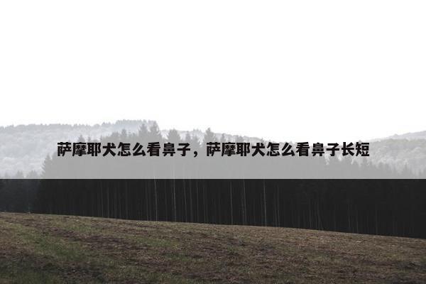 萨摩耶犬怎么看鼻子，萨摩耶犬怎么看鼻子长短