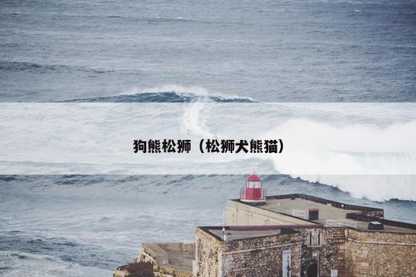 狗熊松狮（松狮犬熊猫）