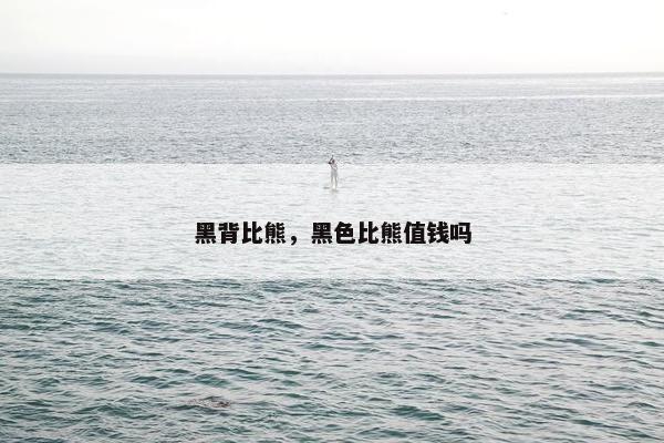 黑背比熊，黑色比熊值钱吗