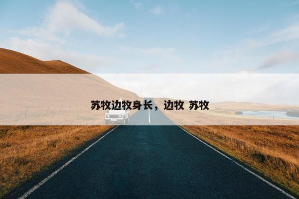 苏牧边牧身长，边牧 苏牧