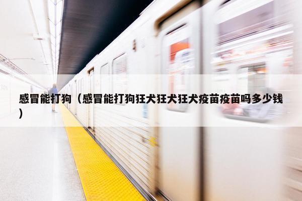 感冒能打狗（感冒能打狗狂犬狂犬狂犬疫苗疫苗吗多少钱）