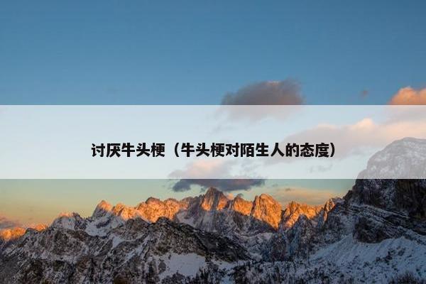 讨厌牛头梗（牛头梗对陌生人的态度）