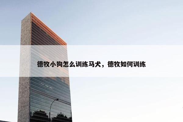 德牧小狗怎么训练马犬，德牧如何训练