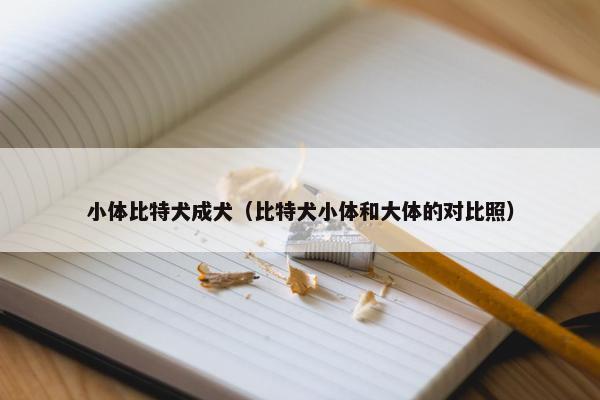 厘米