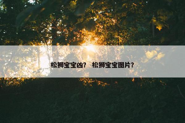 松狮宝宝凶？ 松狮宝宝图片？