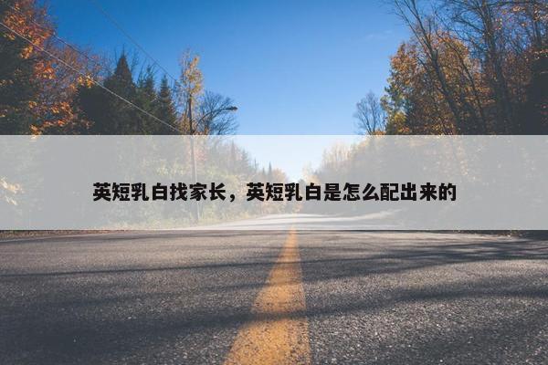 英短乳白找家长,英短乳白是怎么配出来的