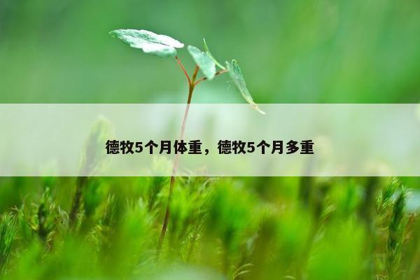 德牧5个月体重，德牧5个月多重