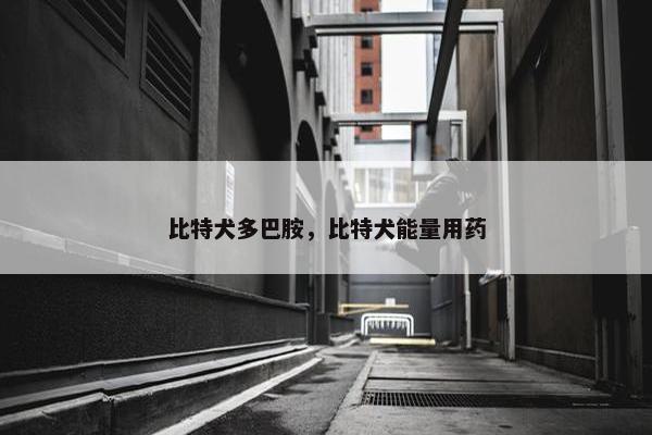 比特犬多巴胺,比特犬能量用药
