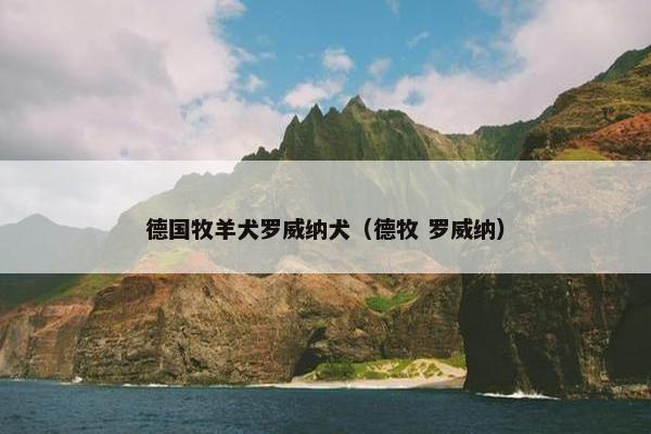 德国牧羊犬罗威纳犬（德牧 罗威纳）