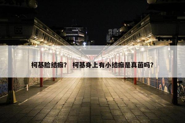 柯基脸结痂？ 柯基身上有小结痂是真菌吗？