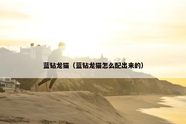 蓝钻龙猫（蓝钻龙猫怎么配出来的）