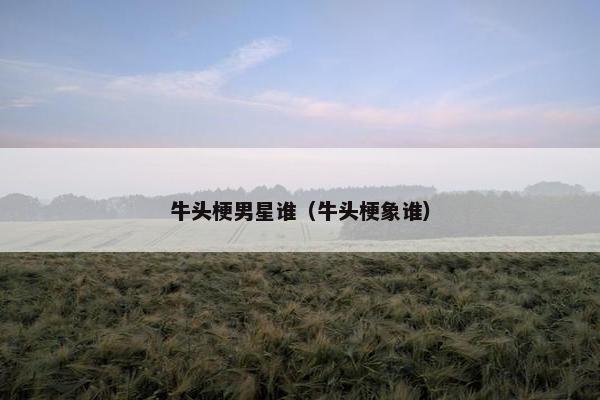 牛头梗男星谁（牛头梗象谁）