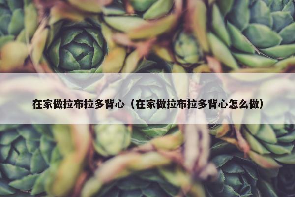在家做拉布拉多背心（在家做拉布拉多背心怎么做）