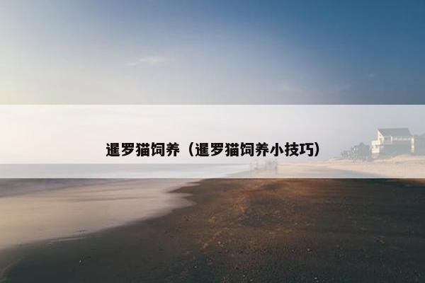 暹罗猫饲养（暹罗猫饲养小技巧）