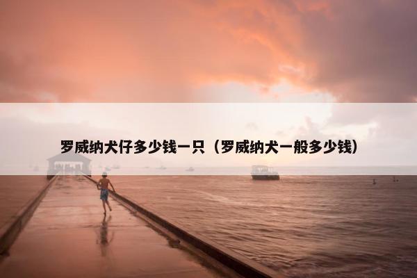 罗威纳犬仔多少钱一只（罗威纳犬一般多少钱）