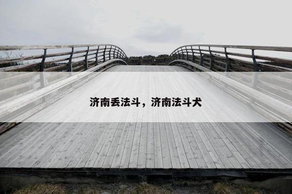 济南丢法斗，济南法斗犬