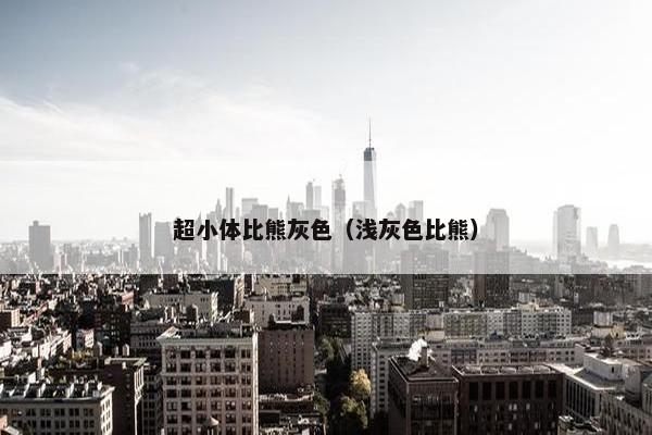 超小体比熊灰色(浅灰色比熊)