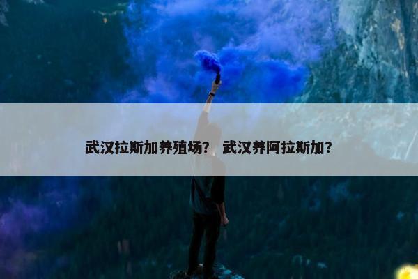 武汉拉斯加养殖场？ 武汉养阿拉斯加？