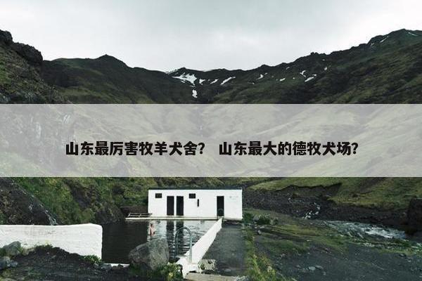 山东最厉害牧羊犬舍？ 山东最大的德牧犬场？