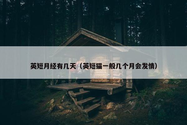 英短月经有几天（英短猫一般几个月会发情）