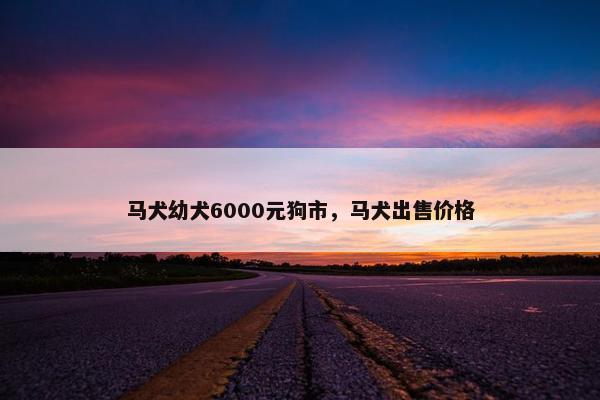 马犬幼犬6000元狗市，马犬出售价格