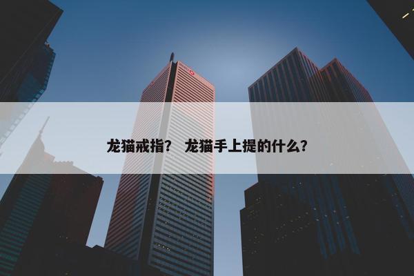 龙猫戒指？ 龙猫手上提的什么？