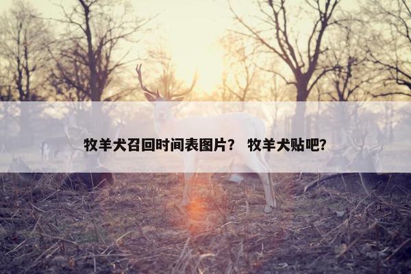 牧羊犬召回时间表图片？ 牧羊犬贴吧？