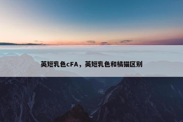 英短乳色cFA，英短乳色和橘猫区别