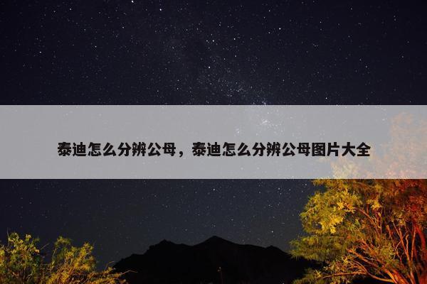 泰迪怎么分辨公母，泰迪怎么分辨公母图片大全