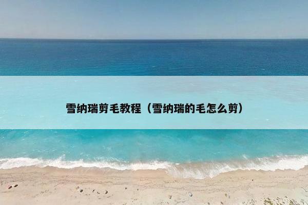 雪纳瑞剪毛教程（雪纳瑞的毛怎么剪）