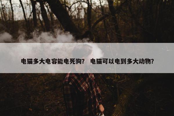 电猫多大电容能电死狗？ 电猫可以电到多大动物？